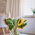 Apartman Cosima, Mit Liebe Zum Stil. *